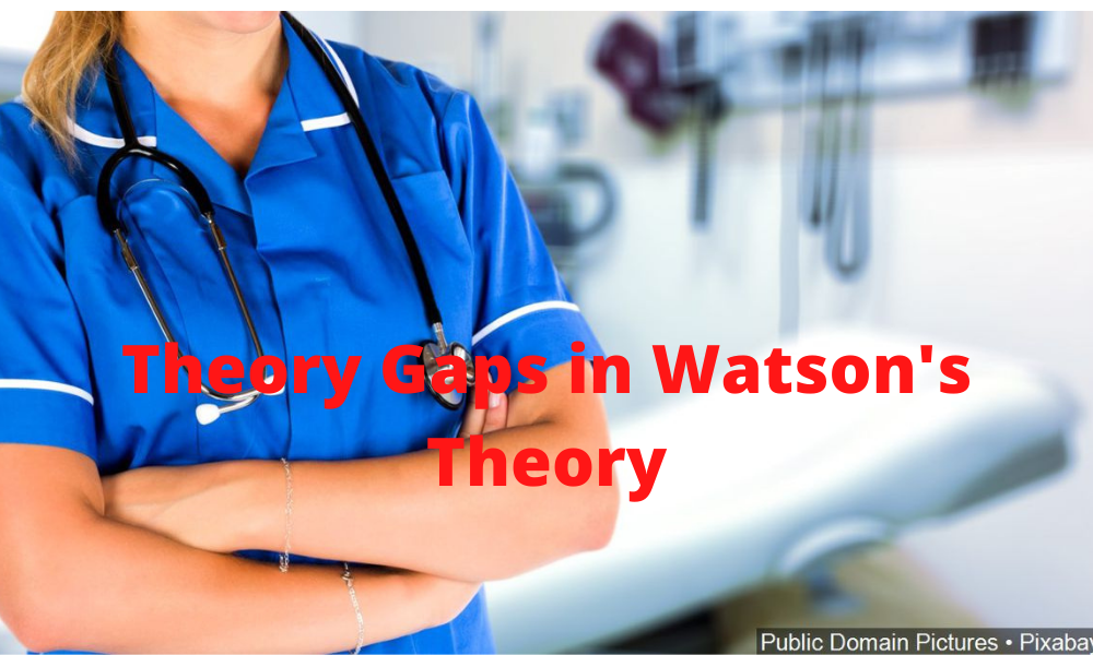 Theory Gaps in Watson's Theory